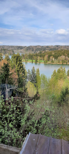Lechblick - Thumbnail