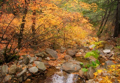 Castle Crags State Park