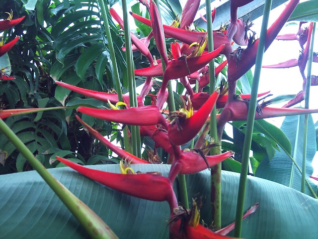 Botanical Garden