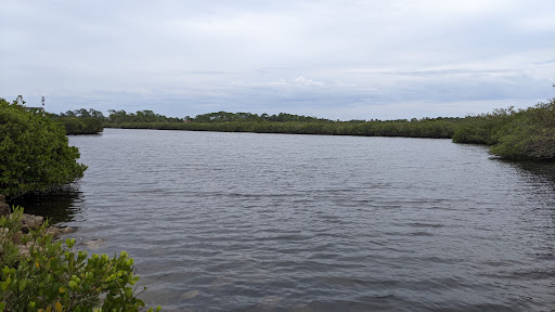 Brasher Park - Visual