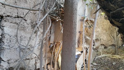 Photos of Village De SGMA