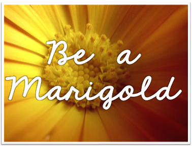 Marigolds For Andrea - Thumbnail