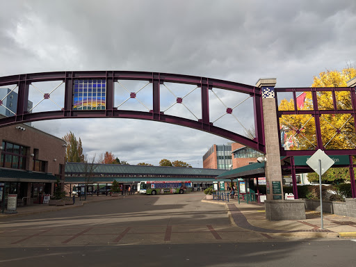 Eugene Station - Visual