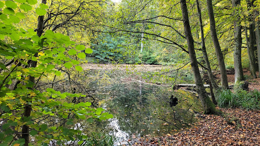 Dellwiger Bach - Thumbnail