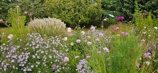 Eingang Mohriner Allee - Britzer Garten - Thumbnail