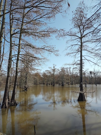 Natural Resources-Horseshoe Lk