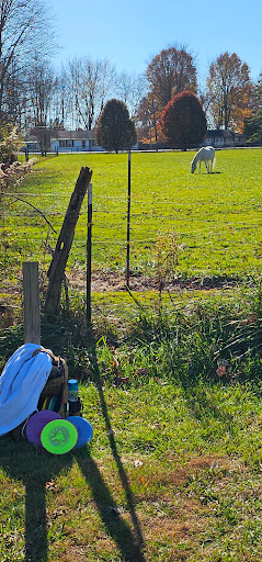 Gauche Park - Visual