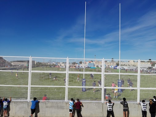 Estadio Municipal, Author: Virginia Soledad Arturo