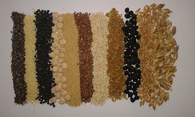 Photos of Cappadocia SEED