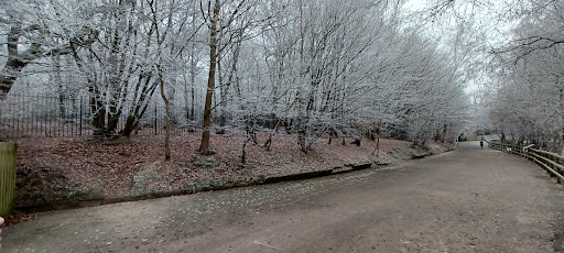 Ruislip Lido - Visual