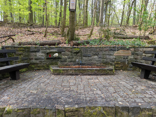 Irrbachquelle Ober-Ostern - Thumbnail