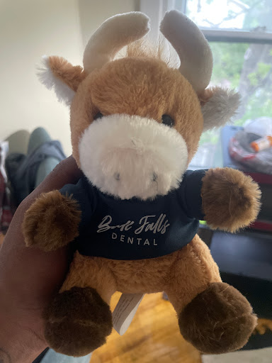 Bull Falls Dental - Thumbnail