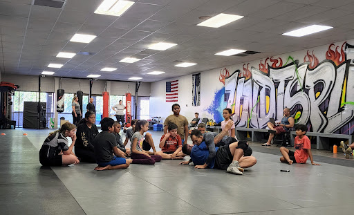 Undisputed | Green Valley Gym | Jiu Jitsu - Boxing - Kickboxing - Fitness - Thumbnail