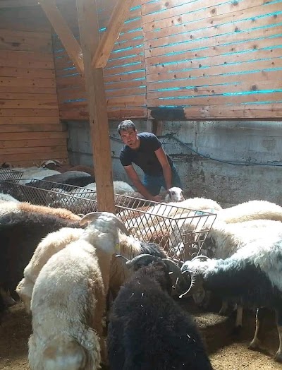 Eymen Adak Sancaktepe Sultanbeyli Sarığazi Samandıra Adak Satış Ve Kesim Yeri