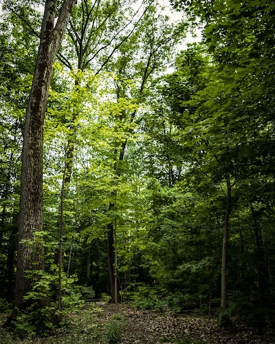 CCAC Nature Trail and Park