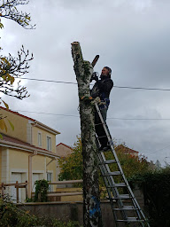 Photo n°30 de D.S.M élagage & toiture M.francki à Dombasle-sur-Meurthe (Service d'élagage)
