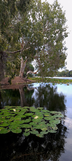 Riverside Green Offleash Dog Park - Thumbnail