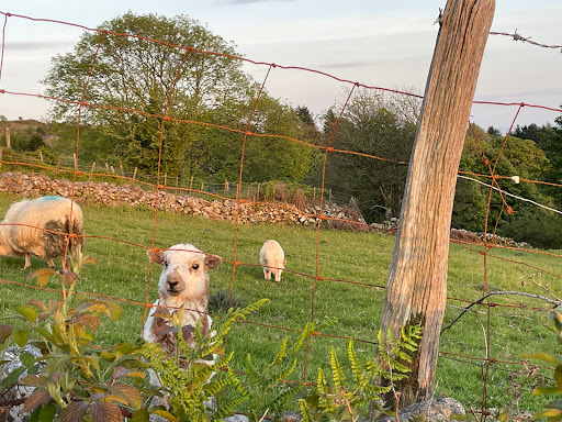 Porthmadog Sports Massage