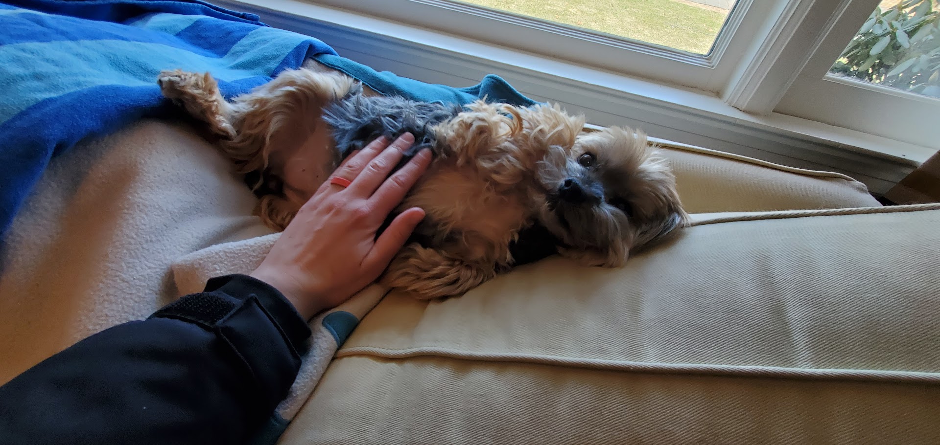 Barkley love and care
