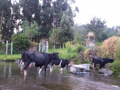Photos of Lago San Pablo