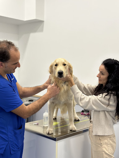 Urgencias Veterinarias Zaragoza