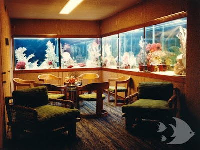 Aquarium Design International