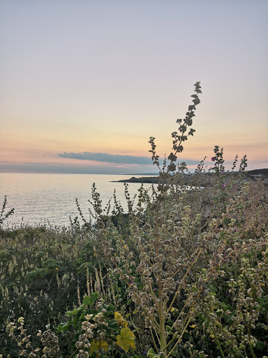 Pagina FB Santa Maria di Leuca - Thumbnail
