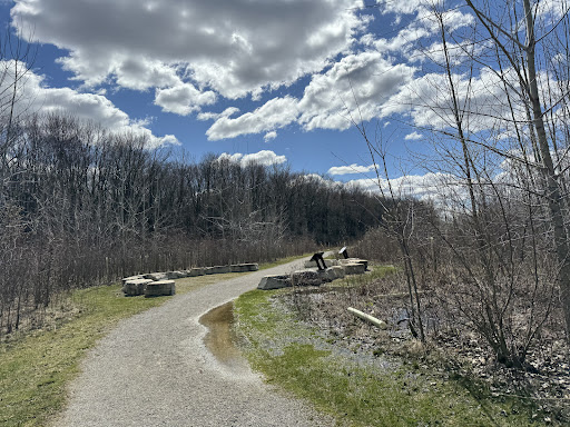Meadow Mode - Visual