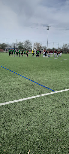 Stade Piquepeyre