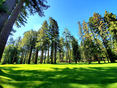 Wine Country to Coast Vacation Rentals 16377 B Main St, Guerneville, CA 95446, United States