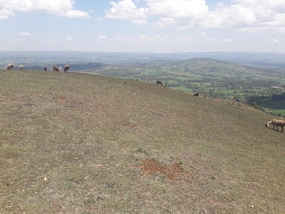 Photos of Ndalat