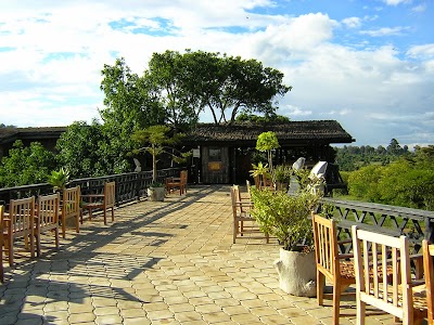 Photos of Treetops Lodge