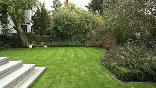 Araneo - projektowanie ogrodów