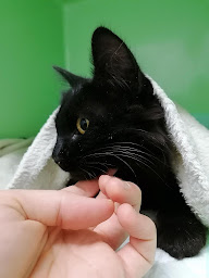 Photo n°2 de Clinique Vétérinaire du Chiriac à Albertville (Clinique vétérinaire)