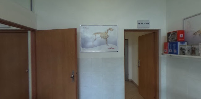 Komentarze i opinie o Kabacka Przychodnia Weterynaryjna