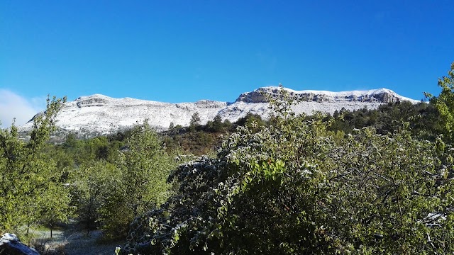 Oasis Bellecombe