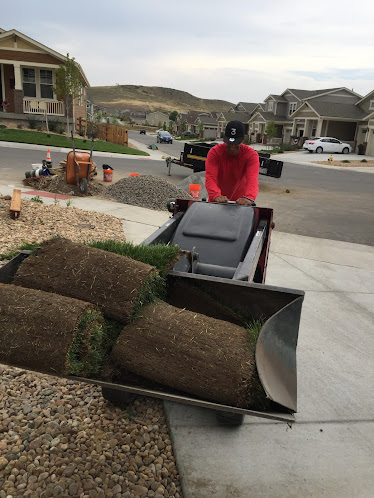 Flores Sprinkler & Landscape LLC