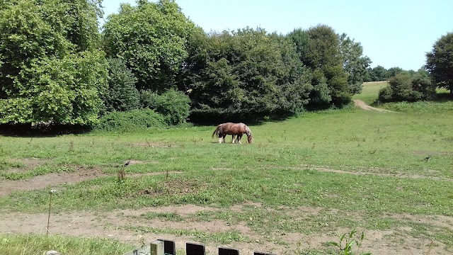 sentier de plomarc'h