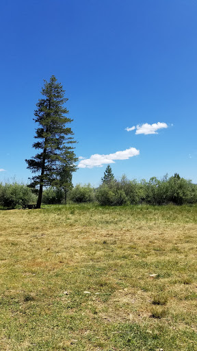 Dairy Creek Campground - Thumbnail