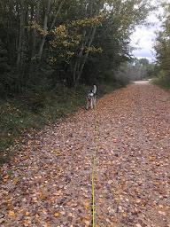 Photo n°17 de Pension passion à Aubignan (Pension pour chiens)