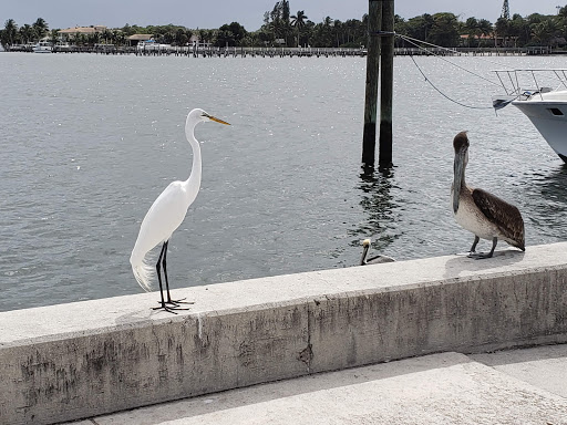 Lantana Boat Ramp - Thumbnail