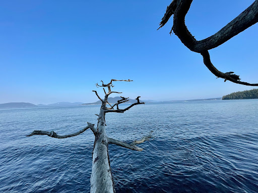 Green Point - Visual