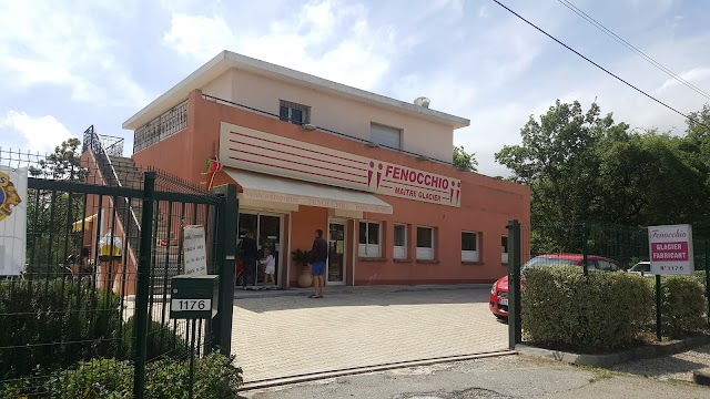 Fenocchio
