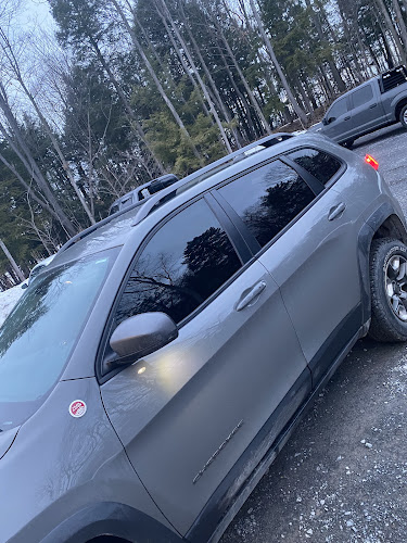 Platinum Detailing Window Tint in Philadelphia