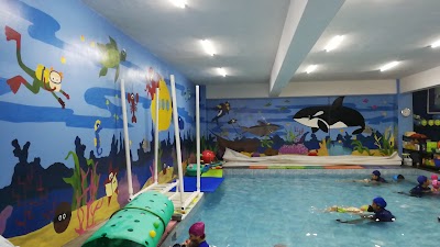 Photos of Aquatic Center