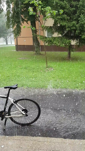 Értékelések erről a helyről: Rigó Vendéglő, Ajka - Étterem