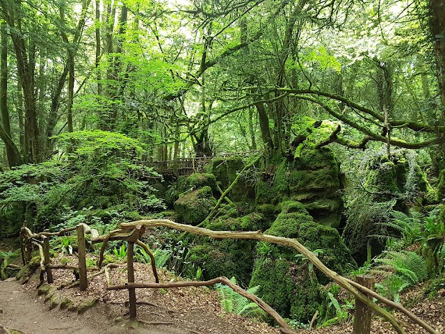 Puzzlewood