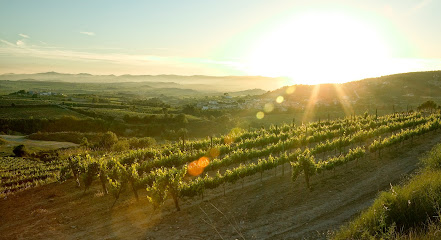 Sutter and Suliman Orthodontics