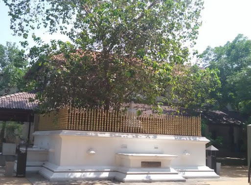 Gnanaramaya Meditation Centre, Author: Nalaka Chandrarathna