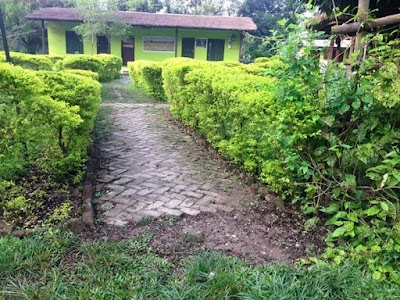Photos of Suklaphanta Jungle Cottage